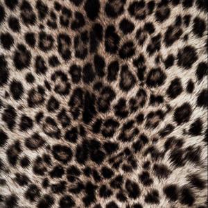 Melrose - hotspot (feat. zahckc) (Explicit)