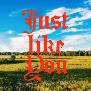 Just Like You
