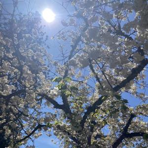 right here (feat. walden)