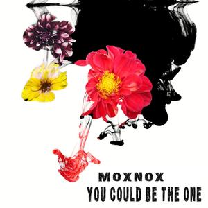You Could Be the One (Tiefenschoen Remix)