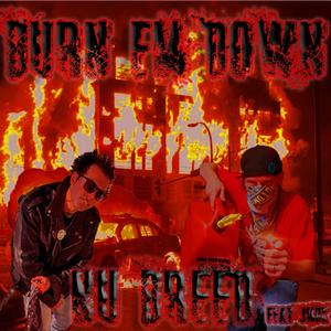 Burn em down(feat. JMBK) (Explicit)