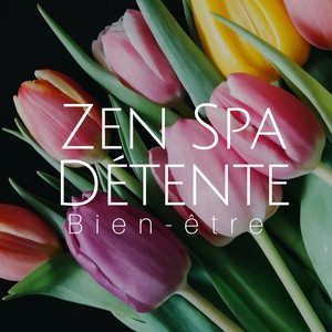 Zen Spa Détente: Bien-être, Massage Relaxante, Chansons de méditation pour yoga, Problèmes de sommeil