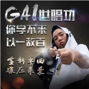 风光超级行-GAI周延