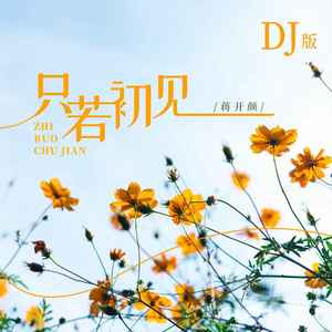 只若初见 (DJ版)