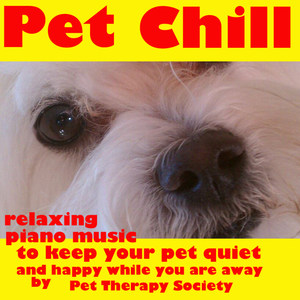 Pet Chill Relaxing Piano Music to Keep Your Pet Quiet and Happy While You Are Away