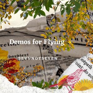 Demos for Flying