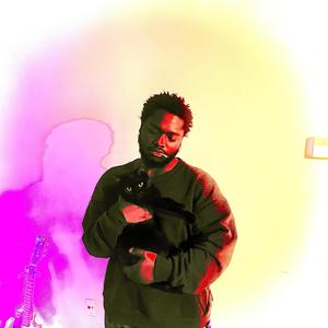 wookies freestyle (Explicit)