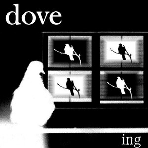 Dove