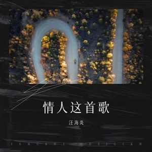 望月思念情妹妹网络诗圣封面