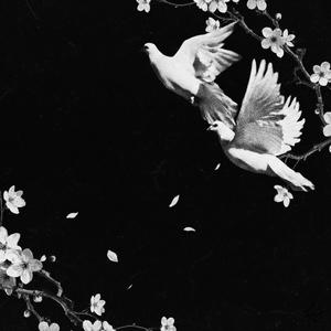 Wandering in my memories