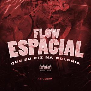 FLOW ESPACIAL QUE EU FIZ NA POLÔNIA (feat. MC Rogê) (Explicit)