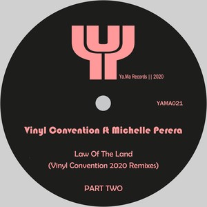Law of the Land (Vinyl Convention Moog Reworked Remix)