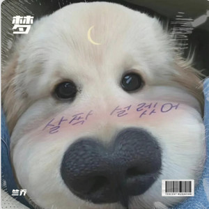 DJ 竺乔 - 梦 (Demo)