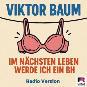 Im nächsten Leben werd ich ein BH (Radio Version)