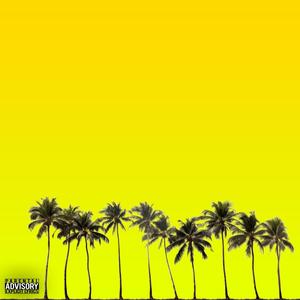 PalmTrees N Situationships (Explicit)