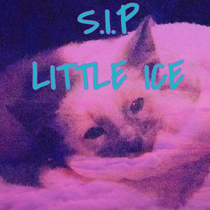 ON YO OWN (Explicit)