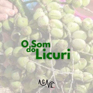 O Jazz do Licuri - O Fruto (Acoustic)