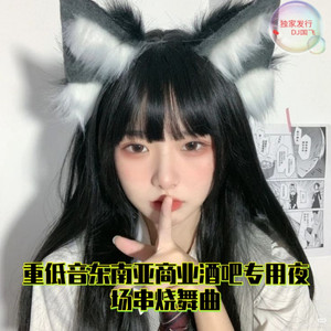 重低音东南亚商业酒吧专用夜场串烧舞曲