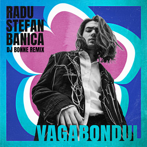 Vagabondul (Dj Bonne Remix)