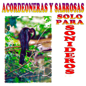 Acordeoneras Y Sabrosas "Solo Para Sonideros"