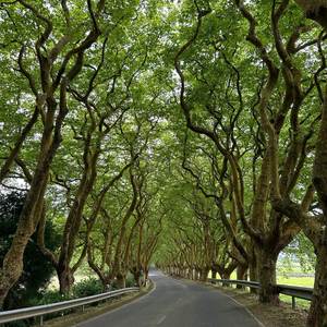 I Gotta Go And Get What's Mine (Explicit)