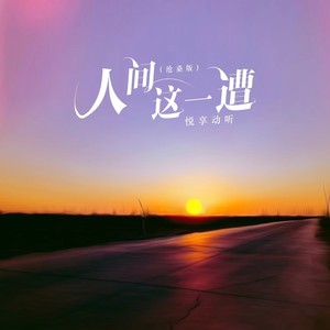 人间这一遭 (沧桑版)