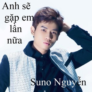 Anh sẽ gặp em lần nữa