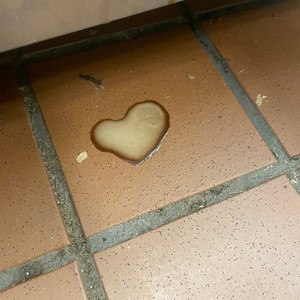 DETERMiNATiON (Explicit)