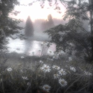 RASHVB - Forest Notes