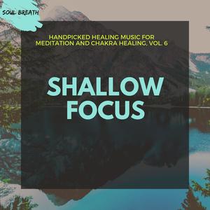 Shallow Focus - Handpicked Healing Music For Meditation And Chakra Healing, Vol. 6