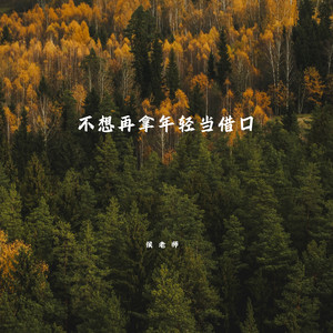 不想再拿年轻当借口