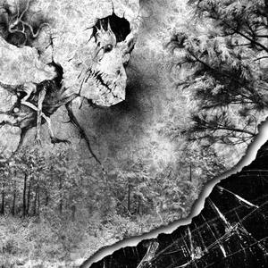 Kobe(feat. SEBii) (Explicit)