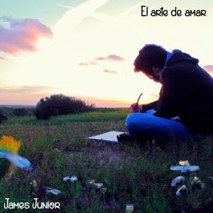 El arte de amar