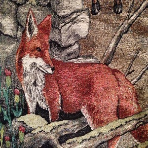 Fox (狐狸)