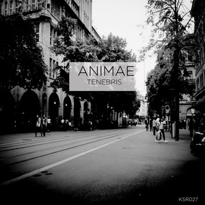 Animae