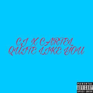 Quite Like You (feat. Cartel) (Explicit)