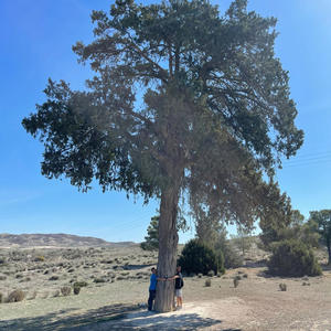 OLMO VIEJO (AdriPuntoEfe Remix Special Version|Explicit)