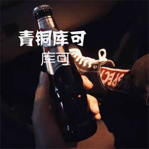 Nice经典抖腿摇 (DJ版)