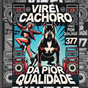 Virei cachorro da pior qualidade