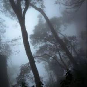 fake love (Explicit)