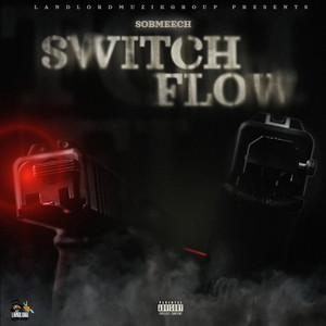 Switch Flow (Explicit)