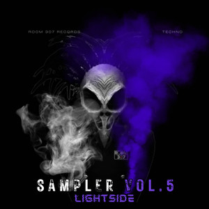 Room 307 Sampler, Vol. 5 (Light Side)