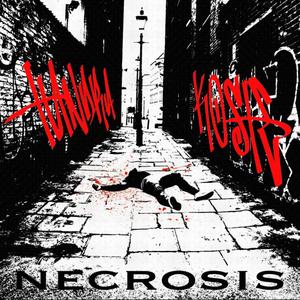 Necrosis(feat. Ko$te) (Explicit)