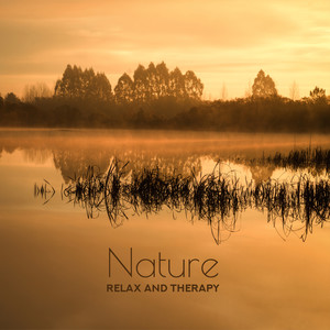 Nature, Relax and Therapy: Calm Down, Nature Sounds to Relax, Techniques for Anxiety, Daily Reflections