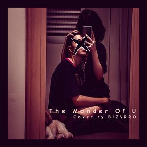 THE WONDER OF U