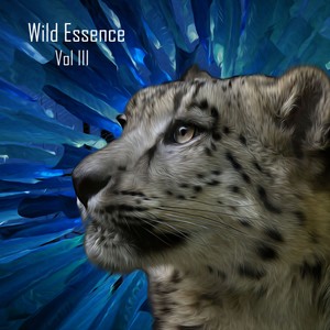 B**ch Don't Kill My Vibe (Original Mix)