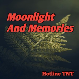 Moonlight And Memories