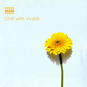 Chamber Concerto in D Major, RV 93 (arr. for guitar and orchestra): Guitar Concerto in D Major - Largo