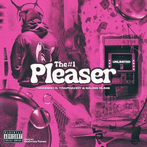 Number 1 Pleaser (feat. Trap Daddy & Salma Slims) [Explicit]