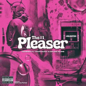 Number 1 Pleaser (feat. Trap Daddy & Salma Slims) (Explicit)